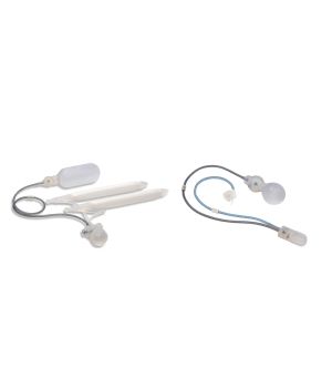 Rigicon 이원성 Rigicon Duality