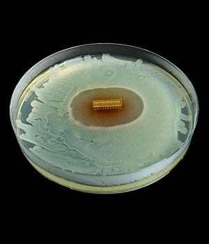 HydroShield™ 코팅 HydroShield™ Coating